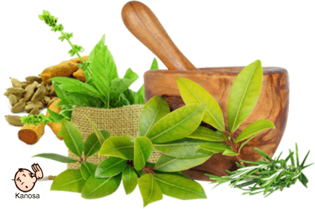 Herbal Healing Illustration